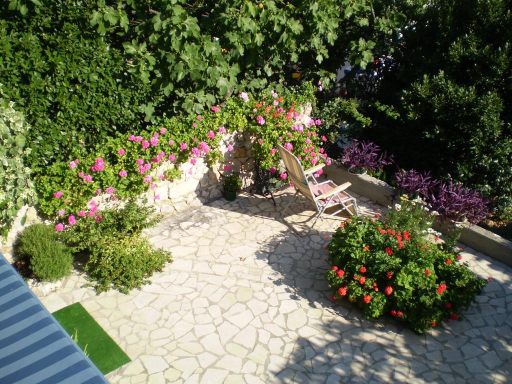 Pavica