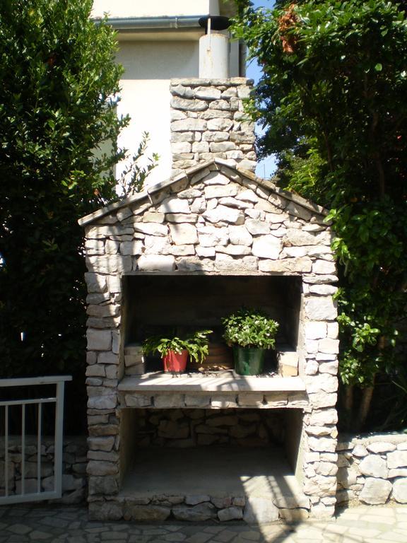 Pavica